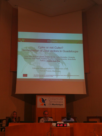colloque sur la démoustication
