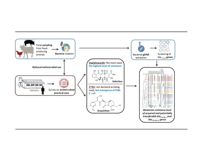 3. Graphical abstract_page-0001