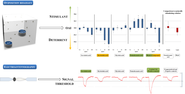 Graphical abstract_png